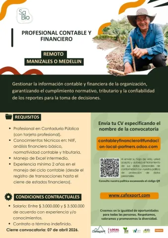 profesional contable