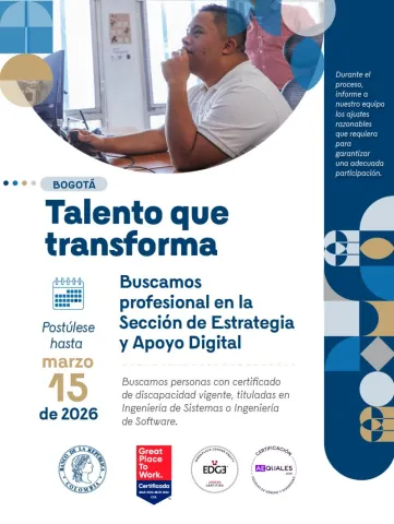 profesional estrategia