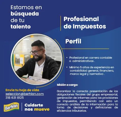 profesional impuestos