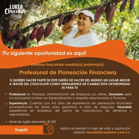 profesional planeación financiera