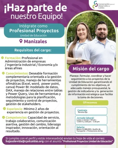 profesional proyectos