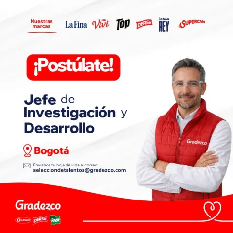 jefe de investigación desarrollo