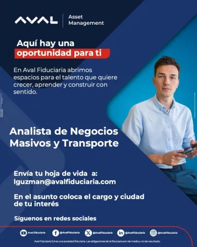 analista de negocios masivos