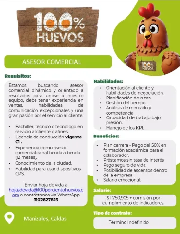 asesor comercial