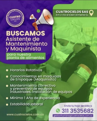 asistente mantenimiento