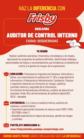 auditor control interno