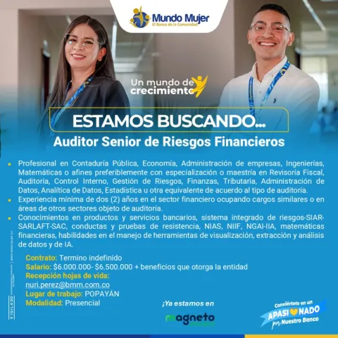 auditor senior riesgos