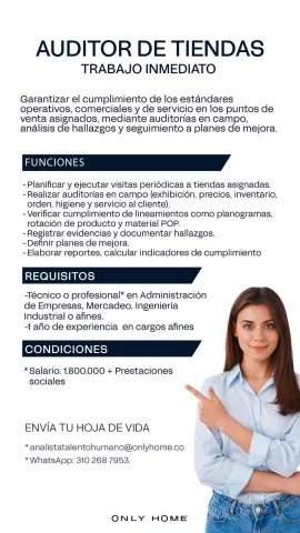 auditor tiendas