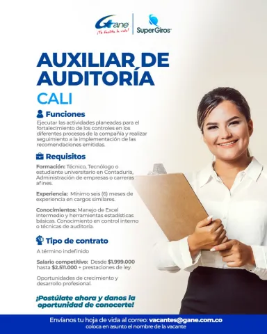 auxiliar auditoría