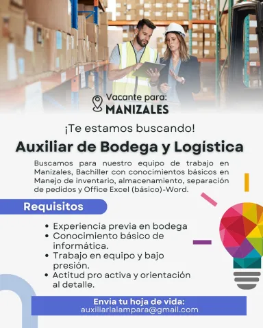 auxiliar bodega