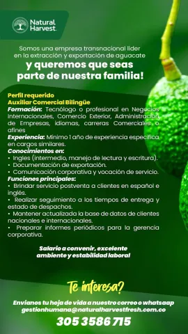 auxiliar comercial