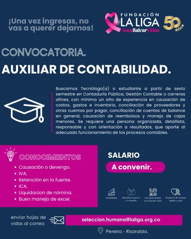 auxiliar contabilidad