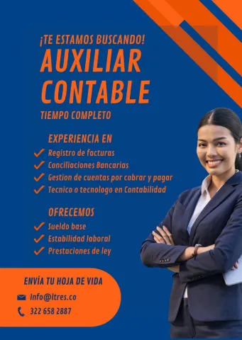 auxiliar contable