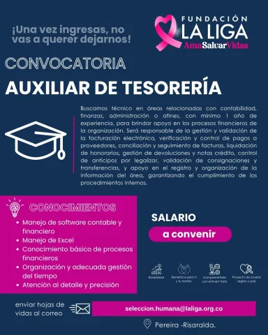 auxiliar tesorería