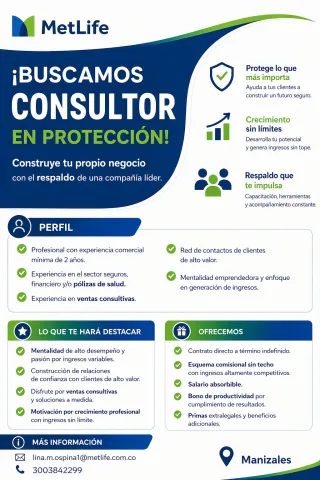 consultor protección