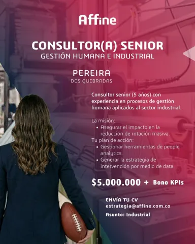 consultor senior