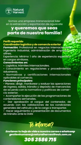 coordinador logistico