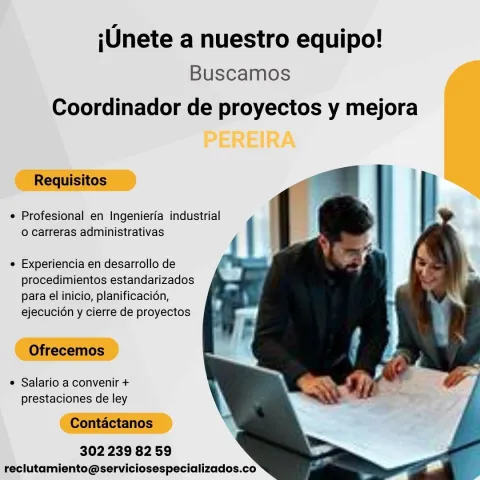 coordinador proyectos