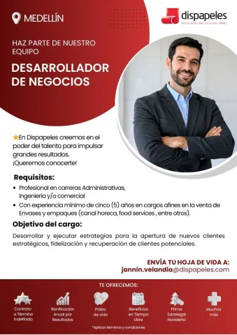 desarrollador negocios