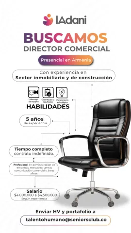 director comercial