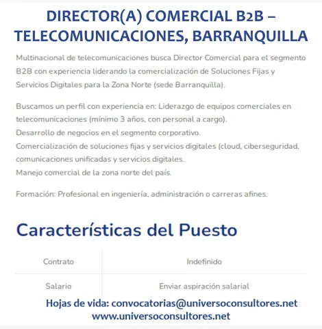 director comercial