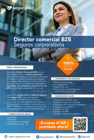 director comercial