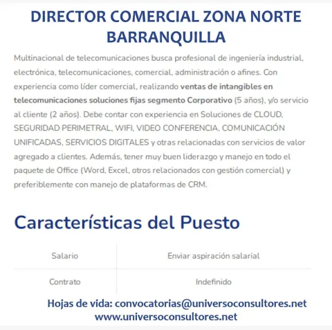 director comercial