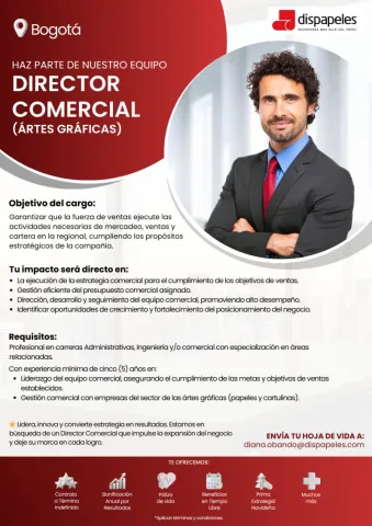 director comercial