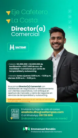 director comercial