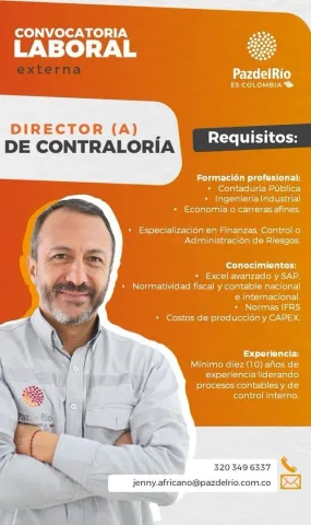director contraloria