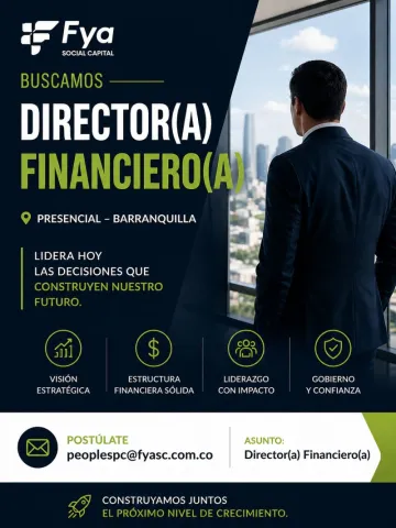 director financiero