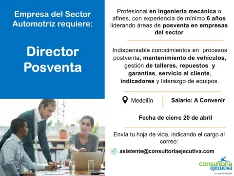 director postventa