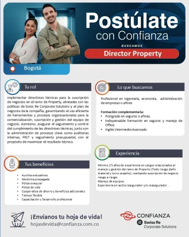 director property