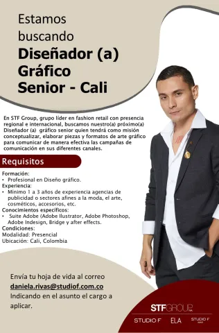 diseñador gráfico senior