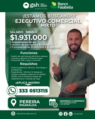 ejecutivo comercial