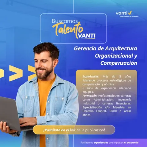 gerencia arquitectura organizacional