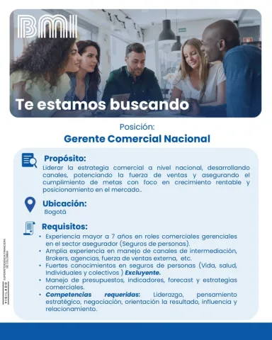 gerente comercial nacional