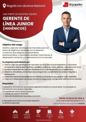 gerente línea junior