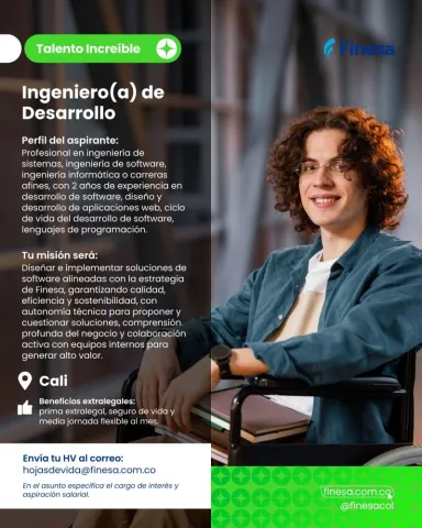 ingeniero desarrollo