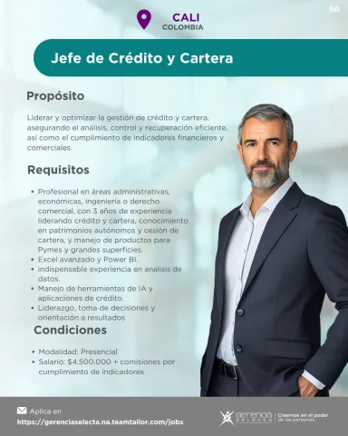 jefe crédito cartera