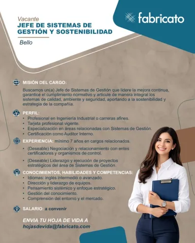 jefe sistemas gestión