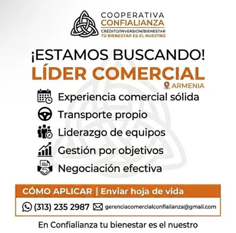 líder comercial