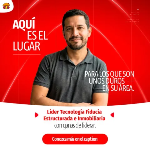 líder tecnología