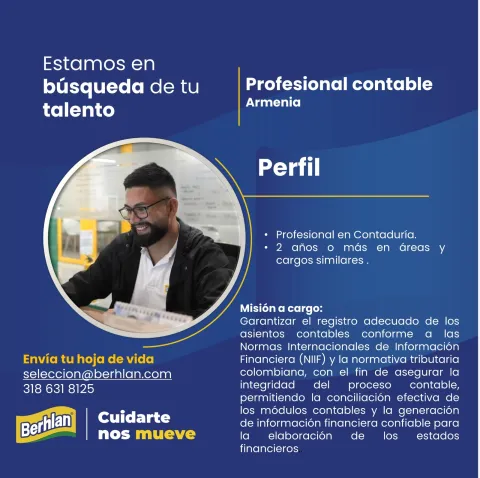 profesional contable