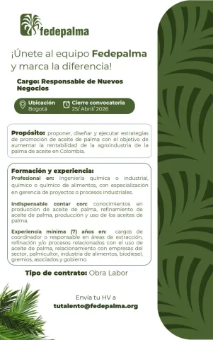 responsable nuevos negocios