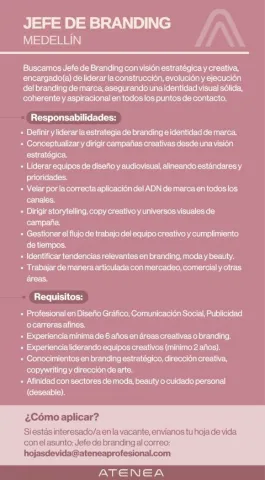 jefe de branding