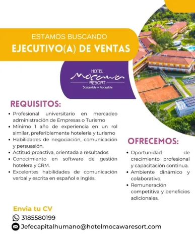 Ejecutivo de ventas