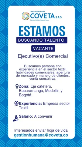 Ejecutivo Comercial