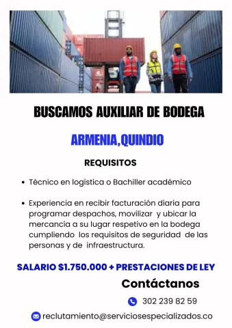 Auxiliar de bogeda
