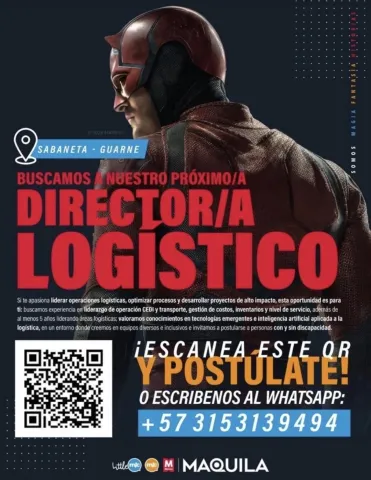 Director logístico